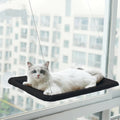Hamaca de Ventana para Gatos – Cama Soleada que Ahorra Espacio con Ventosas